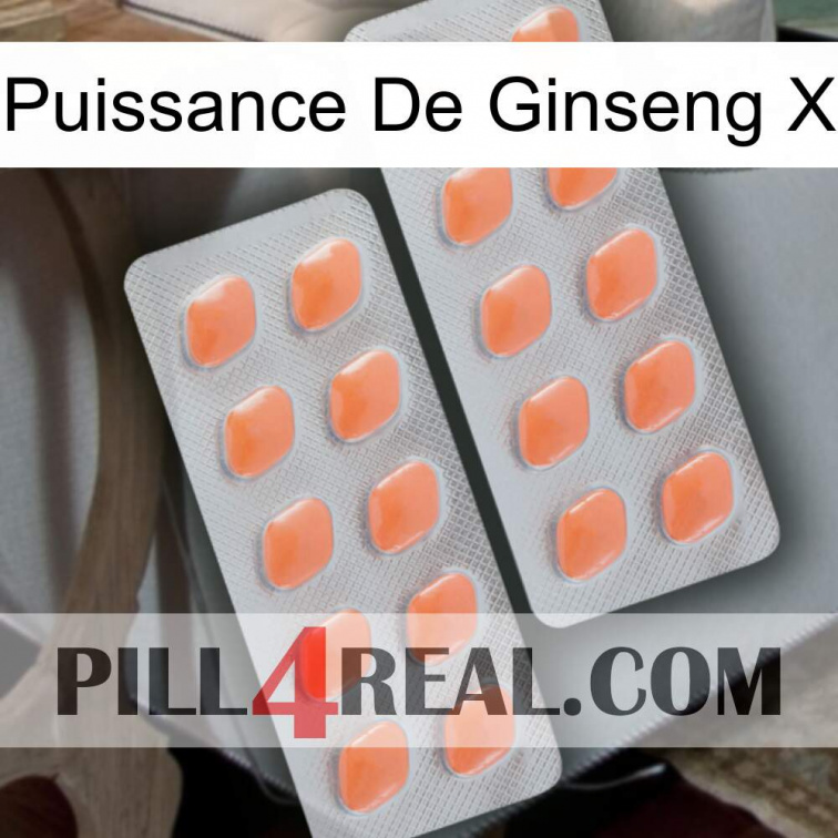 Ginseng Power X 27